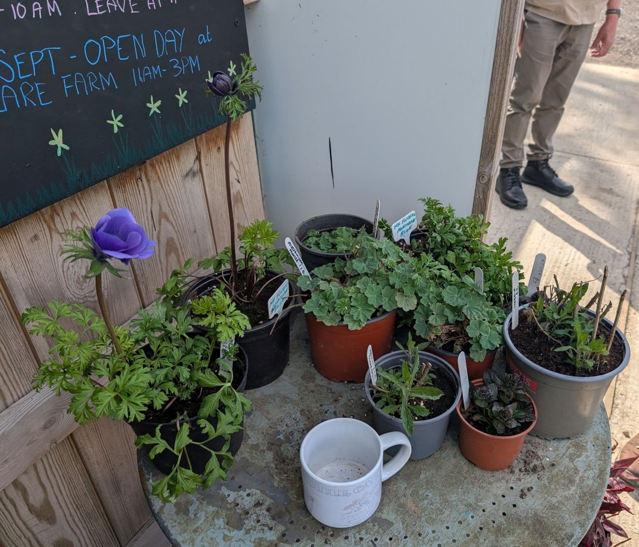 2026-04-12 10 Haddiscoe and Toft Monks.jpg